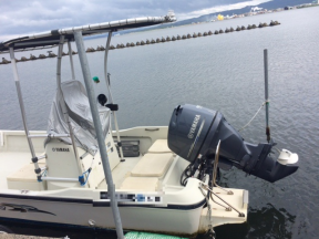 boat.image