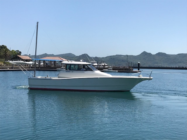 新艇中古艇販売