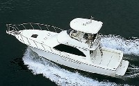 Y-41