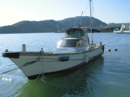 DX27D