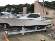 WINGFISHER-27