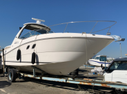シーレイ310サンダンサー
