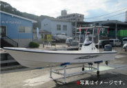 ベイフィッシャー25
