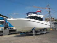 PONAM-31