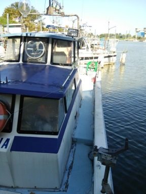 boat.image