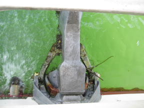 boat.image