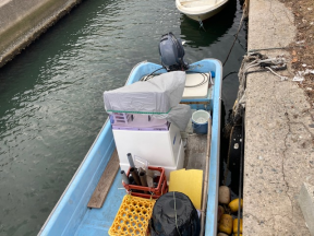 boat.image