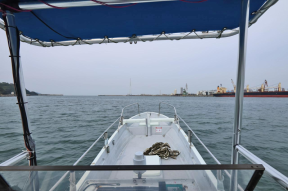 boat.image