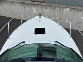 boat.image