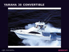 ヤマハ　Y-38