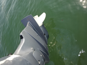 boat.image