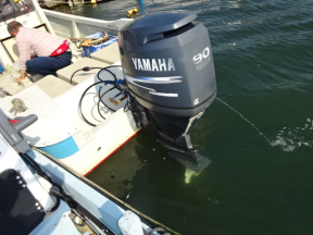 boat.image