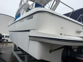 boat.image