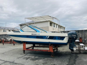 新艇中古艇販売