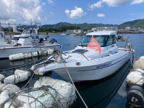 boat.image1