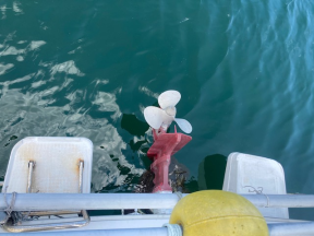 boat.image