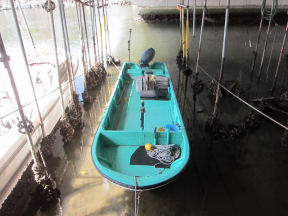 boat.image