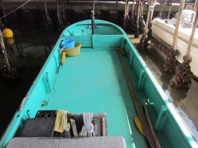 boat.image