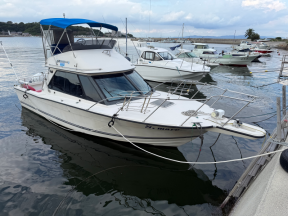 新艇中古艇販売