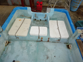 boat.image