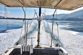 boat.image