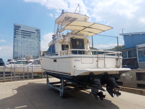 boat.image1