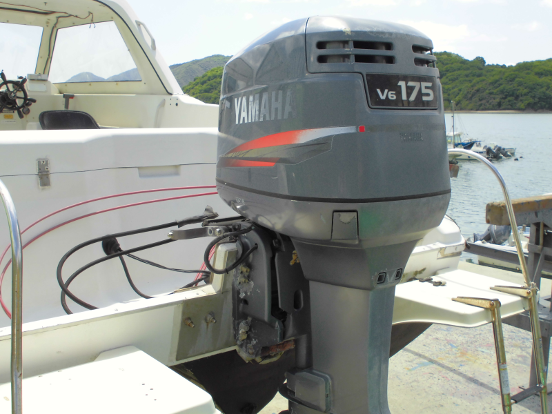 新艇中古艇販売