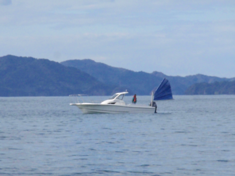 新艇中古艇販売