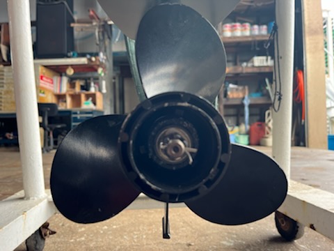 新艇中古艇販売