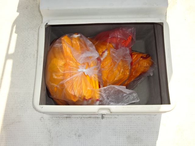 新艇中古艇販売