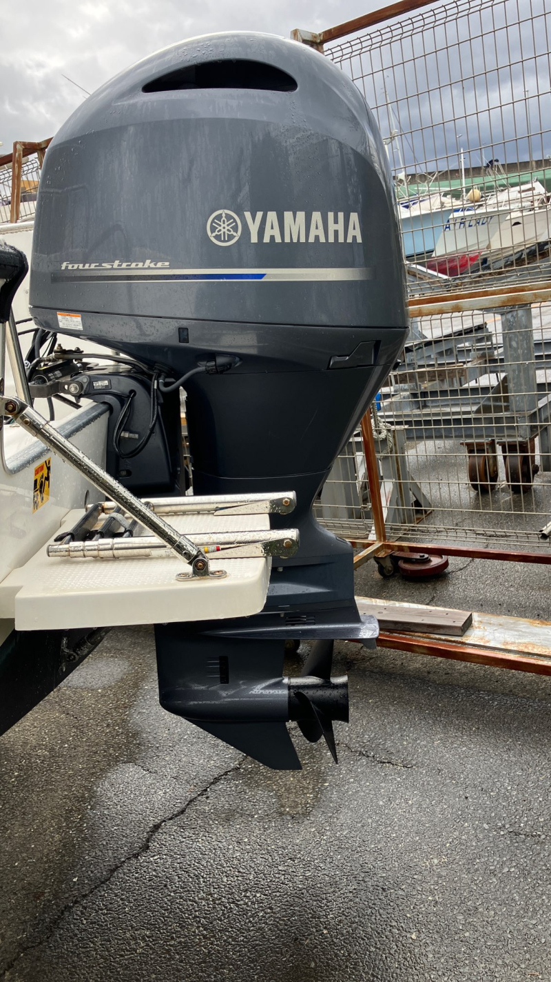 新艇中古艇販売