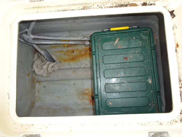 新艇中古艇販売