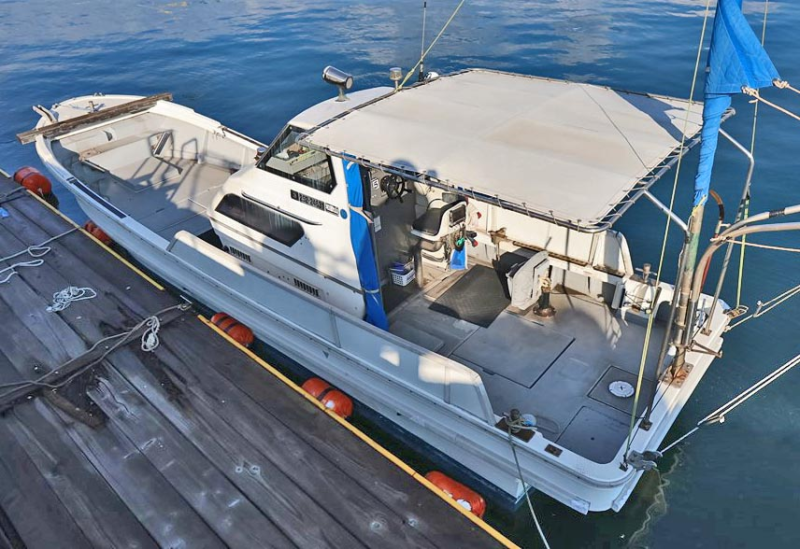 新艇中古艇販売